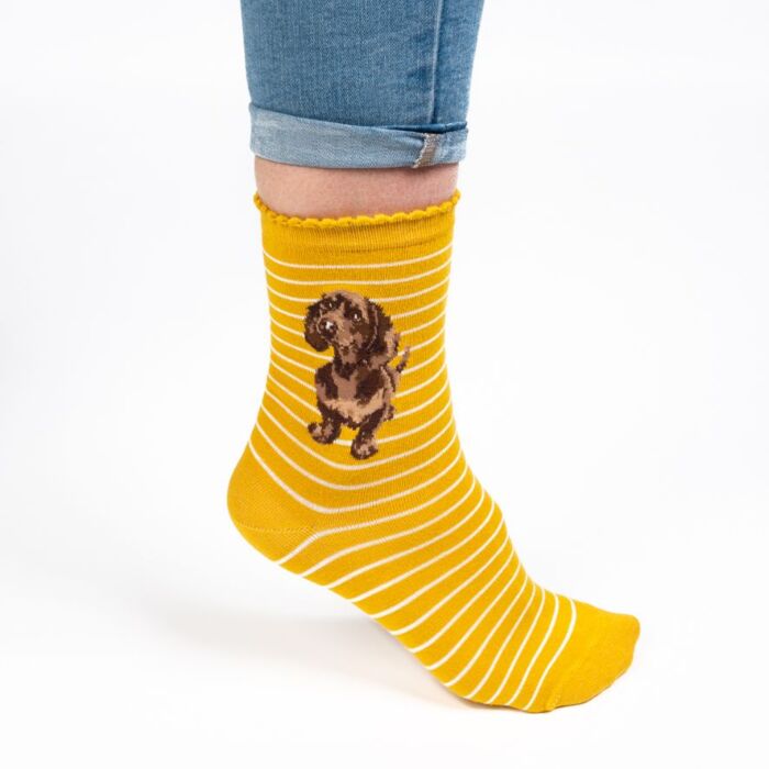 Wrendale Designs "Little One" Dachshund Socks
